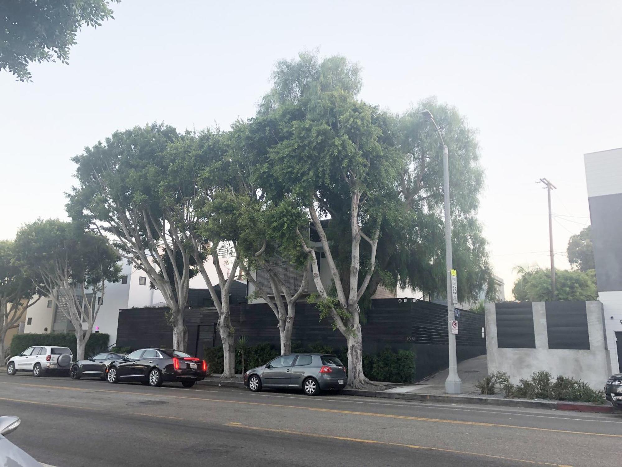 Venice Beach Bungalow By Artspace Locations Λος Άντζελες Εξωτερικό φωτογραφία